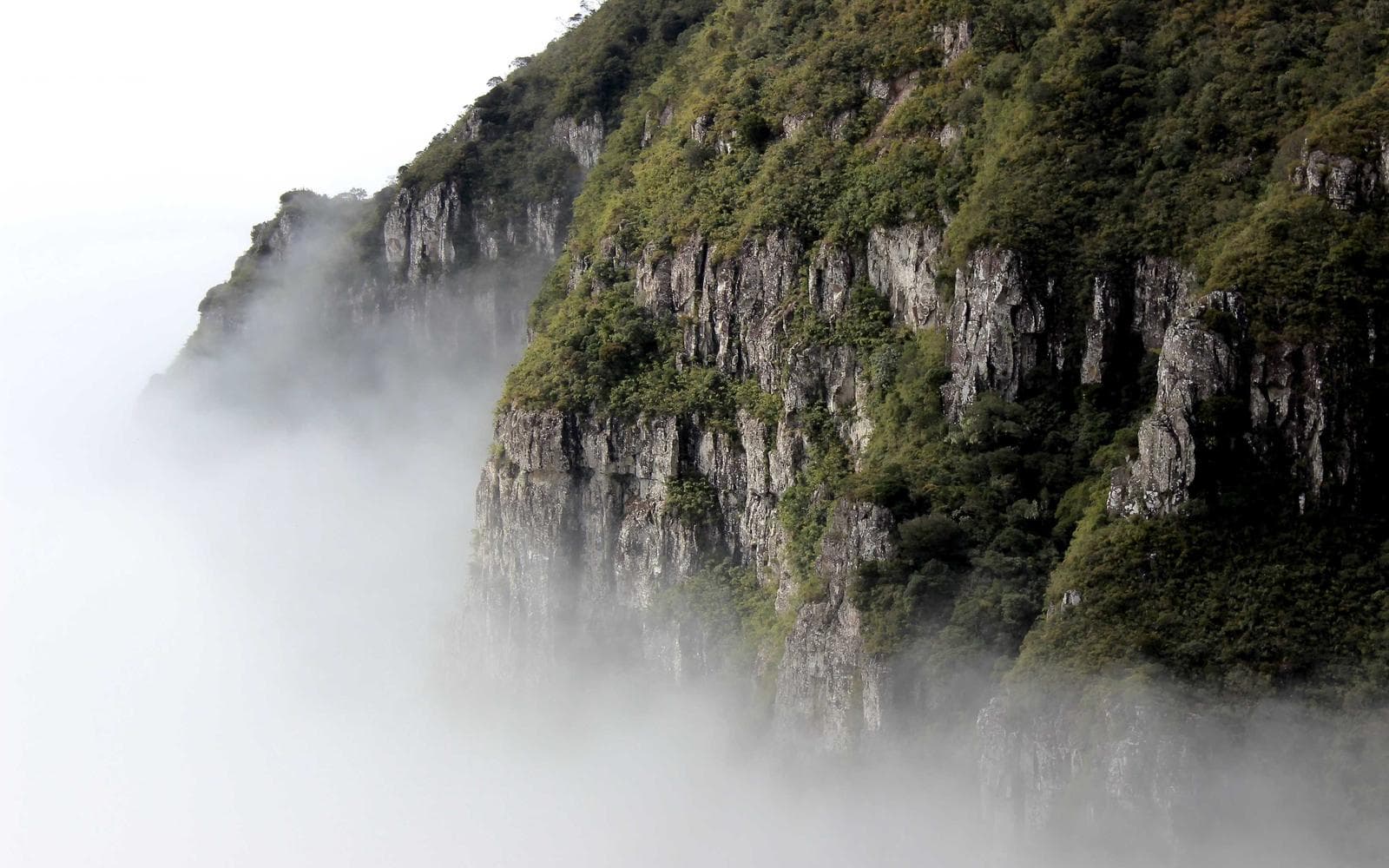 Drifting Through the Backwaters of Alleppey